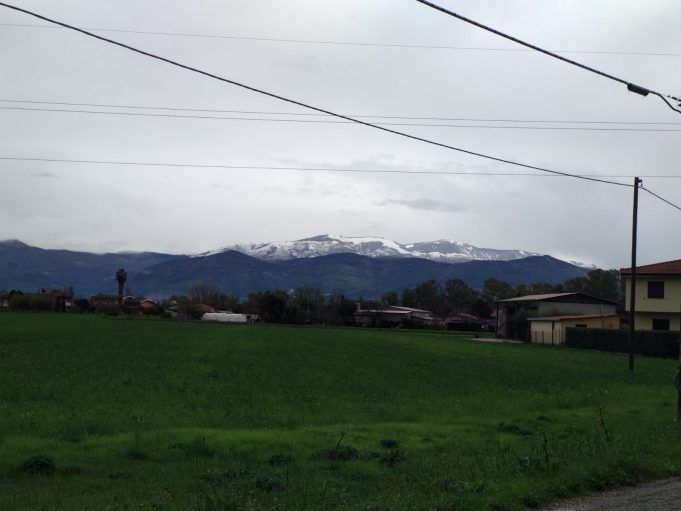 IMG-20211129-WA0012