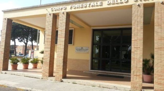 scuola-forestale
