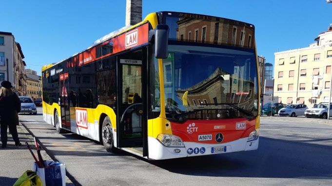 Bus