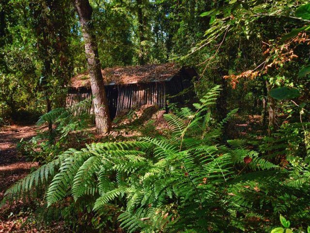 Parco-sentieri