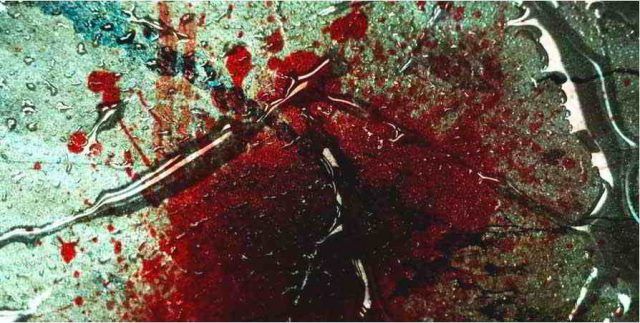 sangue-nei-sogni