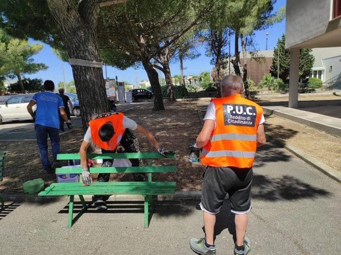 puc reddito di cittadinanza