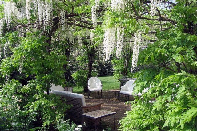 torecchia-ital-garden-dan-pearson-gardenista-1.jp3_