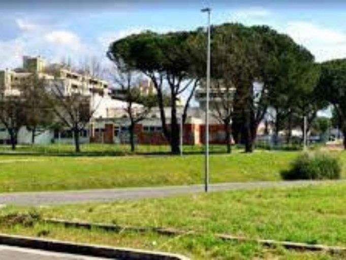 via-goya-latina
