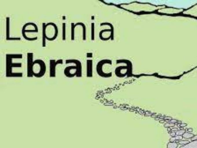lepinia-ebraica
