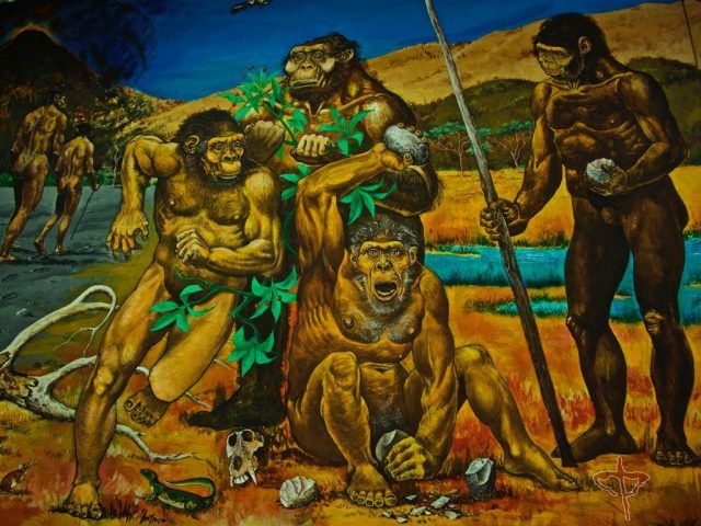Mostra_C.Ranzi