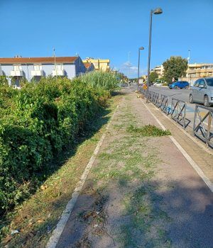 Sabaudia-manutenzione verde2