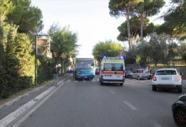 Bus cotral velletri