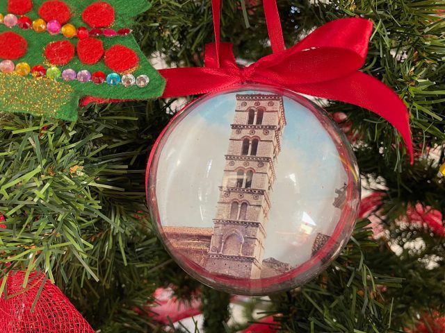 Sermoneta-albero Comune