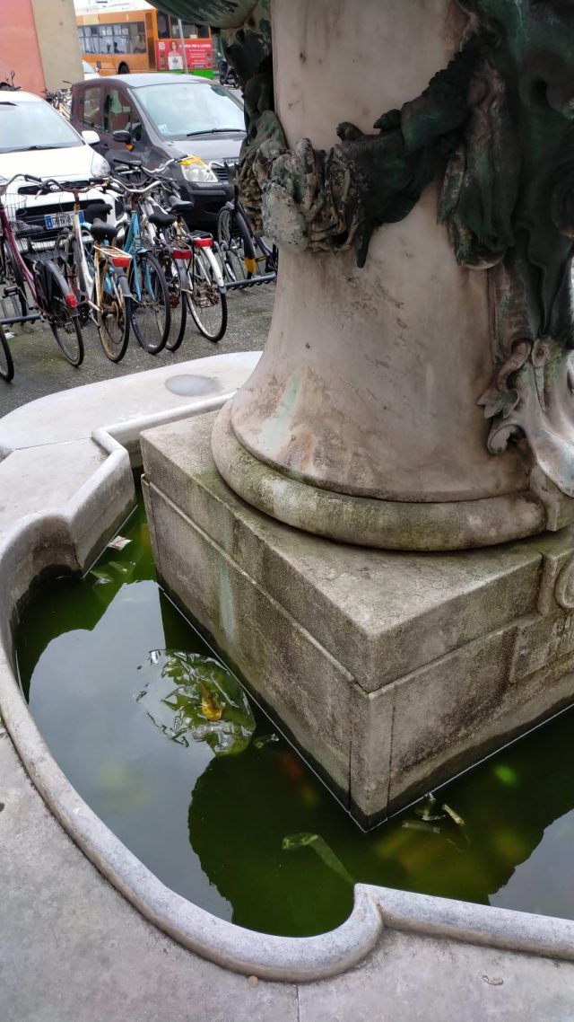 fontana Tacca