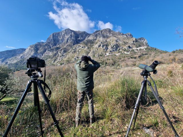 Parco Aurunci-Aquila reale