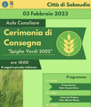 Sabadia-spighe verdi 2022