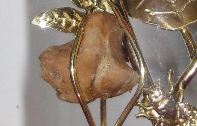 Fondi-Reliquia Santa Rita