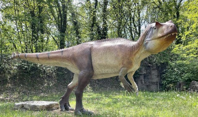 Saltriovenator, grande predatore italiano rinvenuto in provincia di Varese