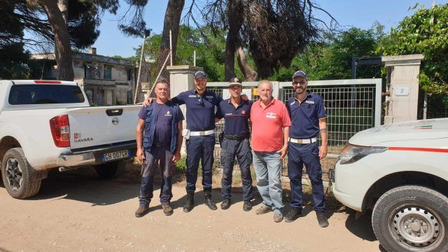 Anc-cinghiale caterattino