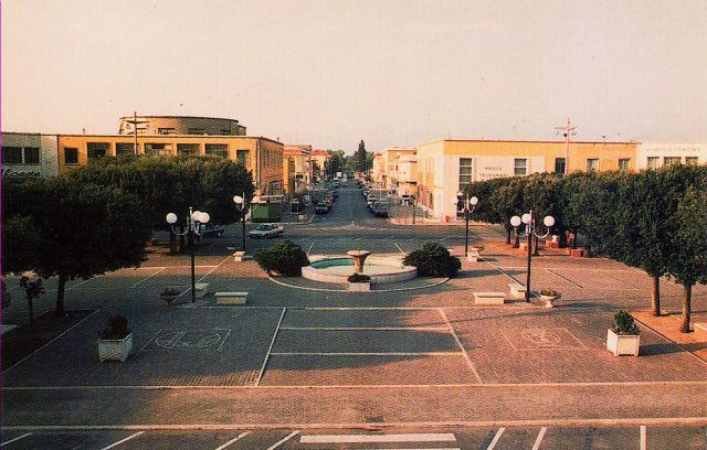 Pontinia1