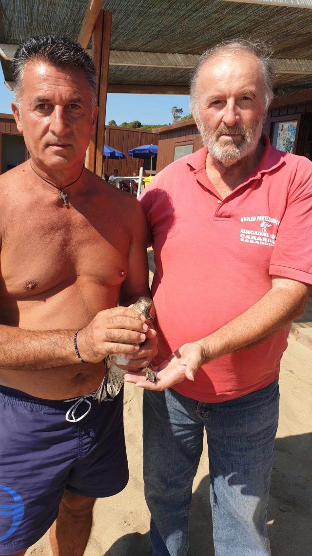 Anc-germano salvato mare