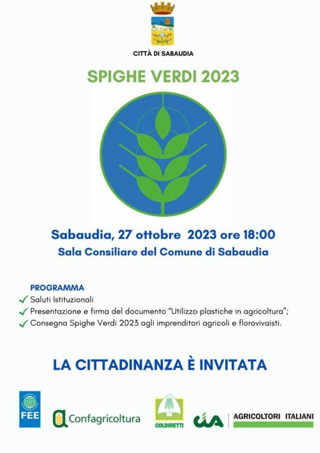 Sabaufia-spighe verdi 2023 consegna