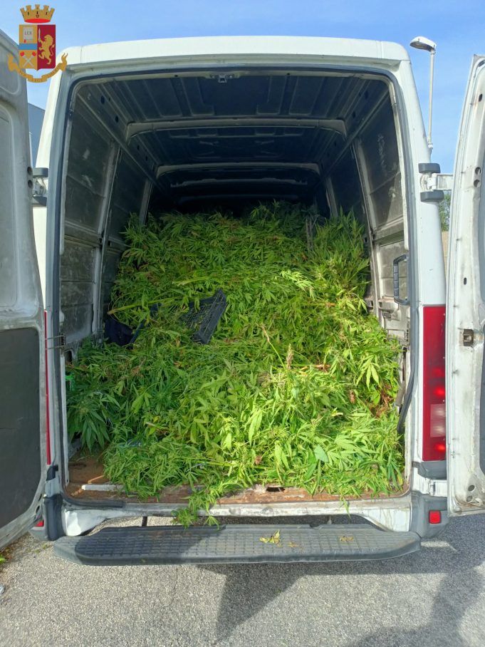 marijuana le ferriere