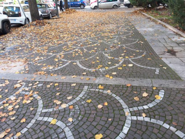 IMG-20231117-WA0053