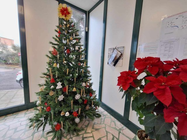 Sabaudia-albero Natale Giardino