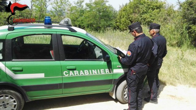 Carabinieri-Forestali (1)