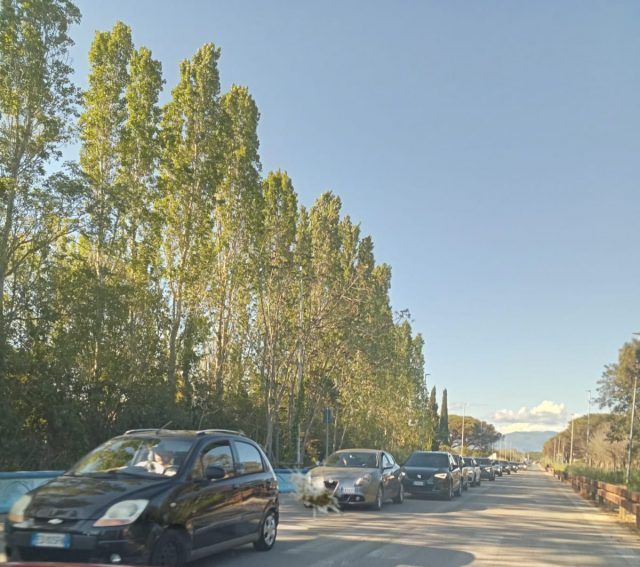 IMG-20240421-WA0052