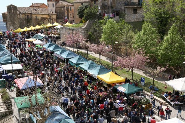 Sezze-sagra carciofo