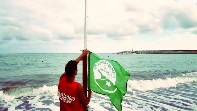 bandiera verde-spiagge