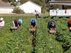 Da Taranto a San Felice Circeo 30 arresti per far entrare extracomunitari in Italia con false richieste
