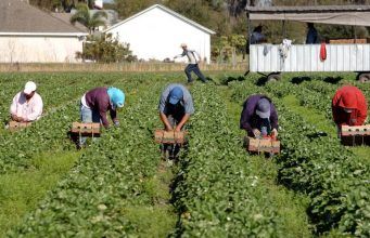 Da Taranto a San Felice Circeo 30 arresti per far entrare extracomunitari in Italia con false richieste