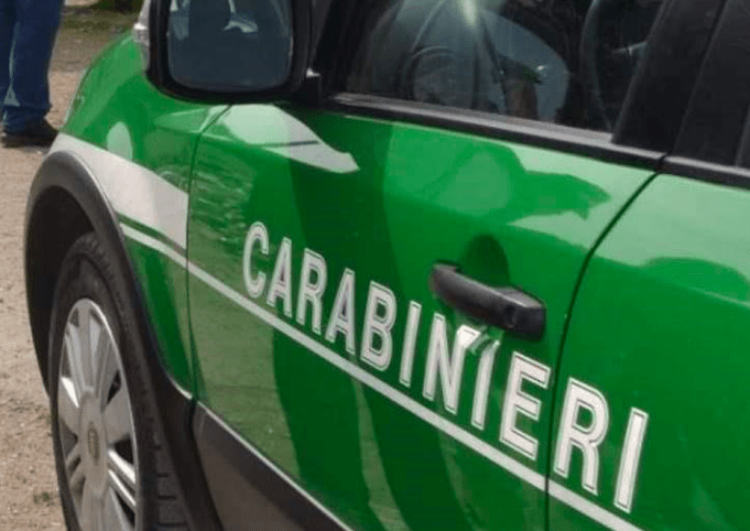 Schermata 2024-10-28 alle 17.39.24
