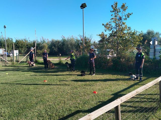 Terracina-progetto cani