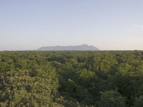 Parco-Foresta demaniale