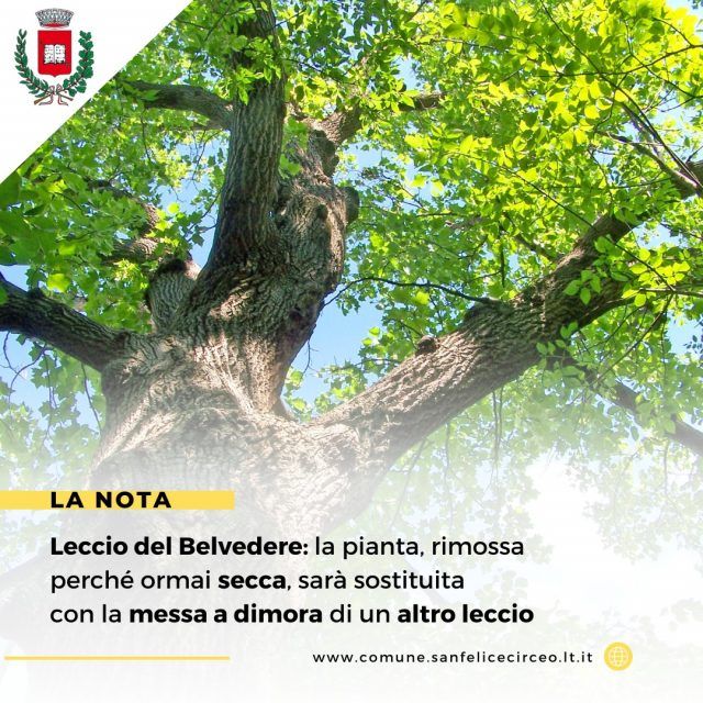 San Felice-leccio Belvedere