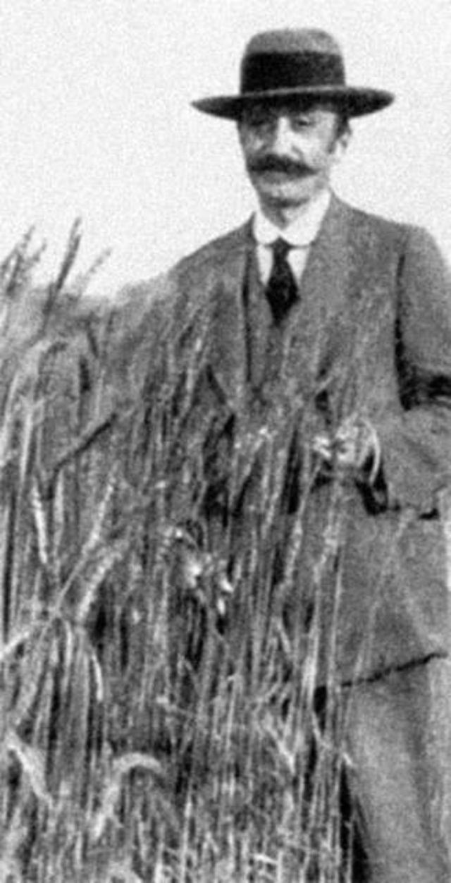 foto strampelli