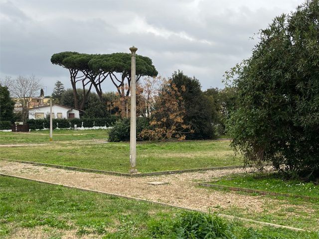Sabaudia-piazza palme1
