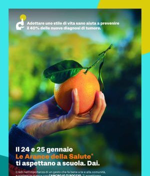 Sermoneta-arance salute