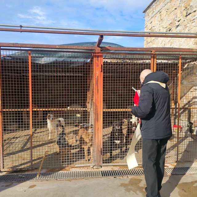 Terracina-benedizione cani