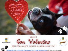 Per San Valentino adotta un amico a 4 zampe e celebra l’amore in tutte le sue forme