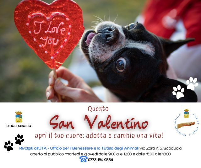 Sabaudia-San Valentino cani