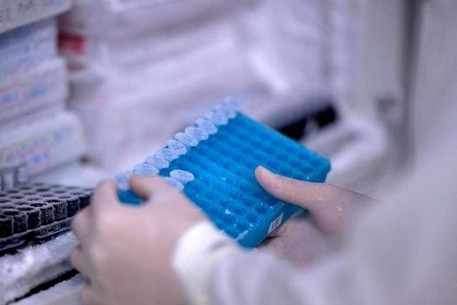 Scoperto il virus gigante Ushikuvirus, lo studio: “Può darci indizi su origine della vita”