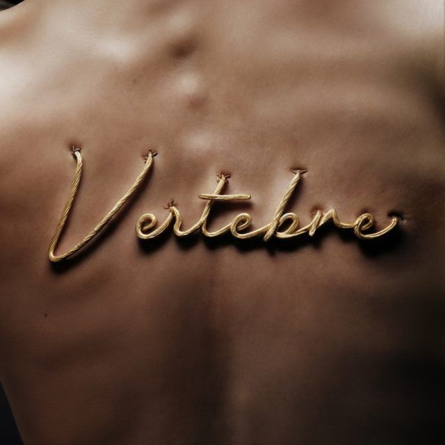Vertebre_page-0001 (1)