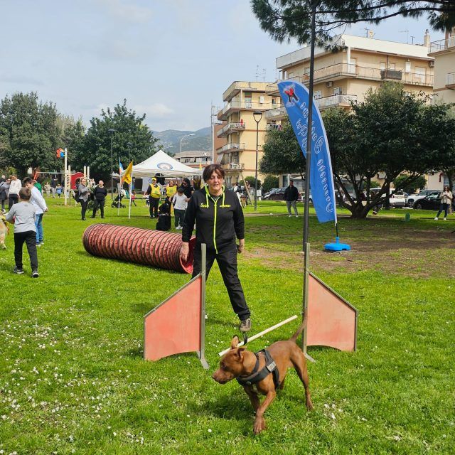 Terracina-cani adozione