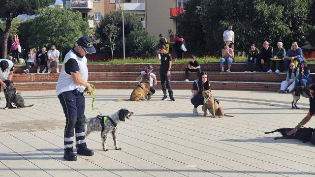 Terracina-progetto adoz. cani