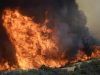 Prosegue il caldo pazzesco e gli incendi divampano. A Sonnino distrutti 40 ettari
