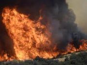 Prosegue il caldo pazzesco e gli incendi divampano. A Sonnino distrutti 40 ettari