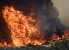 Prosegue il caldo pazzesco e gli incendi divampano. A Sonnino distrutti 40 ettari