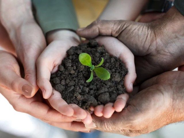 Strategie innovative per sostenere l’agricoltura dell’UE: il ruolo delle analisi economiche e comportamentali