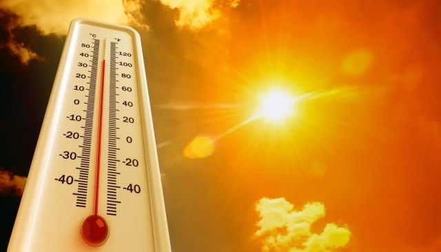 Allarme caldo in tutta Europa, record in Spagna: 46 gradi in Andalusia
